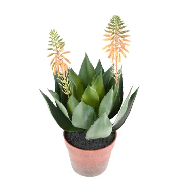 AGAVE artificielle fleurie 50 cm