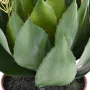 AGAVE artificielle fleurie 50 cm - feuilles