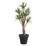 AGAVE artificiel arbre 70 cm - en pot