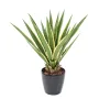 AGAVE FURCRAEA artificielle vert jaune  80 cm - en pot