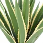 AGAVE FURCRAEA artificielle vert jaune - feuilles