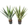 AGAVE FURCRAEA artificielle vert jaune  et vert