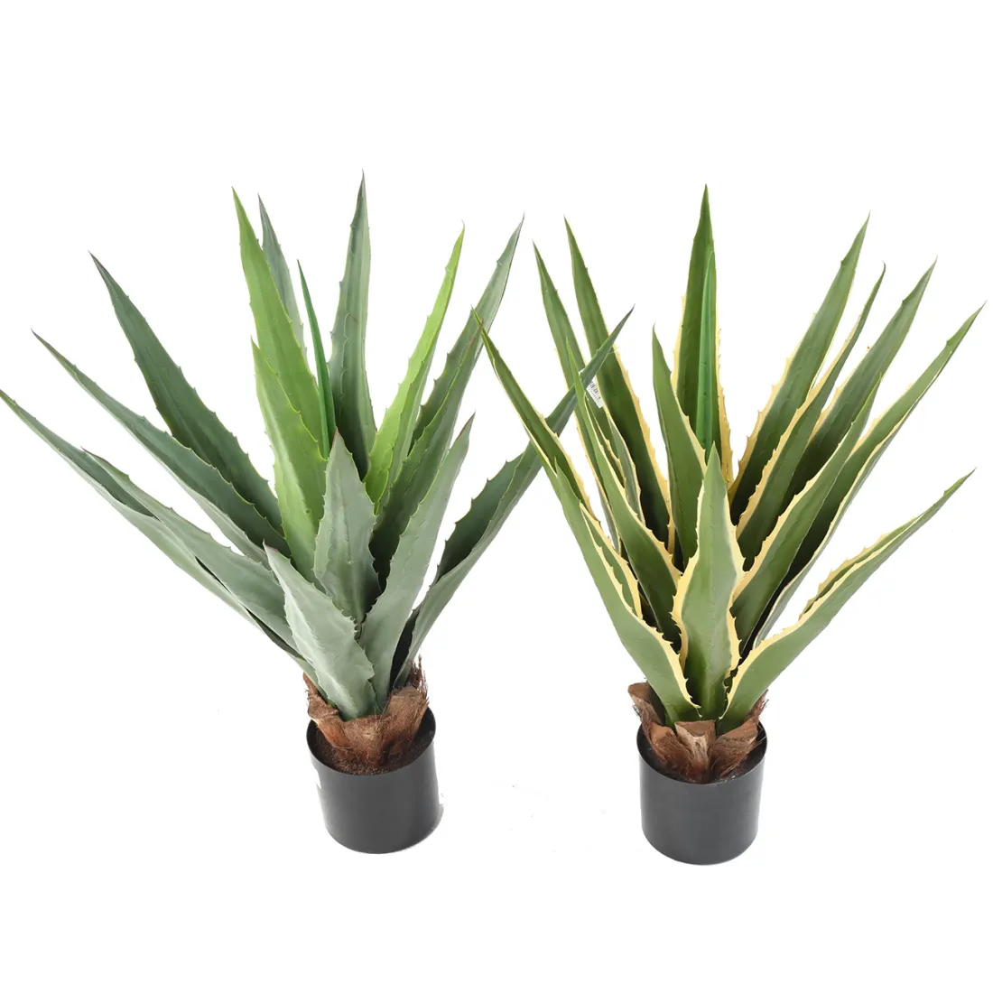 AGAVE FURCRAEA artificielle vert jaune  et vert