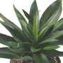 AGAVE artificielle 20 cm
