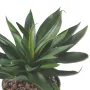 AGAVE artificielle 20 cm - feuillage