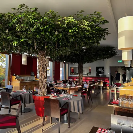 FICUS artificiel LIANES umbrella 320cm diam 450cm