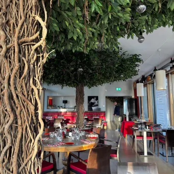 FICUS artificiel LIANES umbrella 320 cm diam 450 cm