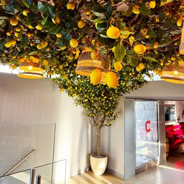 branche artificielle CITRONNIER 93 cm - plafond