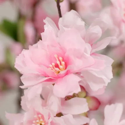 CERISIER FLEUR artificiel 240 cm rose - floraison