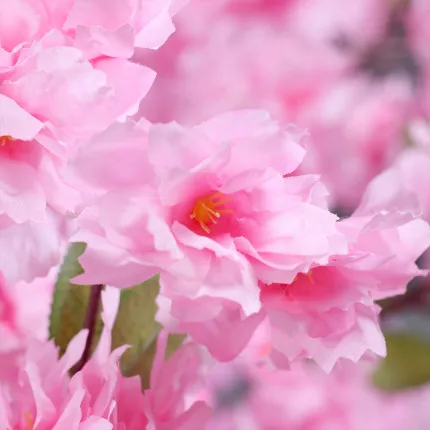 CERISIER en FLEURS artificiel 300 cm - fleurs