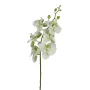 ORCHIDEE phalaenopsis artificielle 80 cm vert