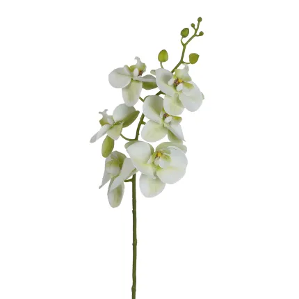 ORCHIDEE phalaenopsis artificielle 80 cm vert