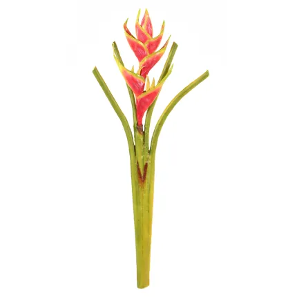HELICONIA artificiel 80 cm - en tige