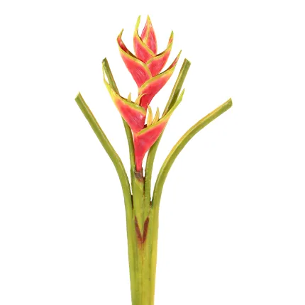 HELICONIA artificiel 80 cm