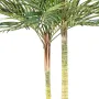PHOENIX artificiel DOUBLE TRONCS 240 cm - tronc