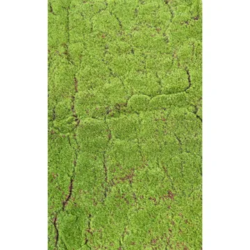 Plaque de mousse artificielle des bois 200cm x 100cm