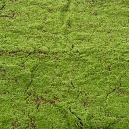 Plaque de mousse artificielle des bois 200cm x 100cm en détails