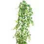 POTHOS artificiel petites feuilles 200 cm