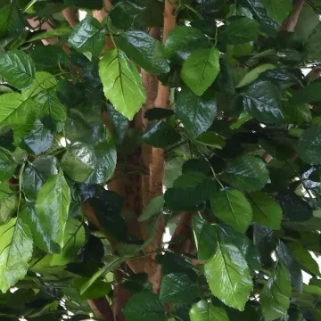 HETRE artificiel 400 cm - feuilles