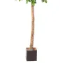 HETRE artificiel 400 cm - tronc et pot