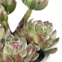 MINI SUCCULENTES artificielles  18 cm en pot - chou