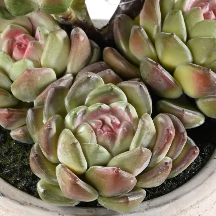 MINI SUCCULENTES artificielles  18 cm en pot - détails