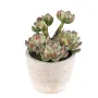 MINI SUCCULENTES artificielles  18 cm en pot - de face