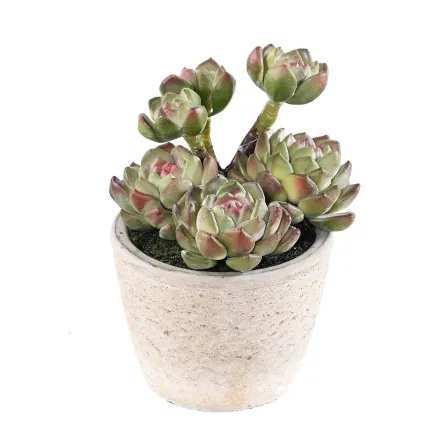 MINI SUCCULENTES artificielles  18 cm en pot - de face