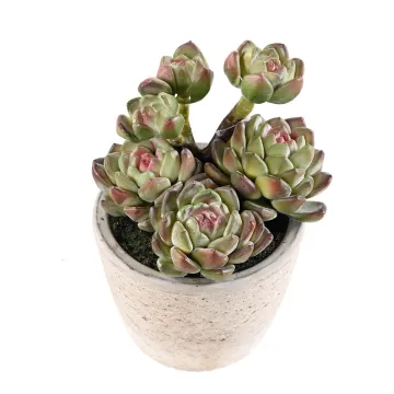 MINI SUCCULENTES artificielles  18 cm en pot