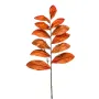 branche de SCEAU DE SALOMON artificielle 75 cm orange - en tige