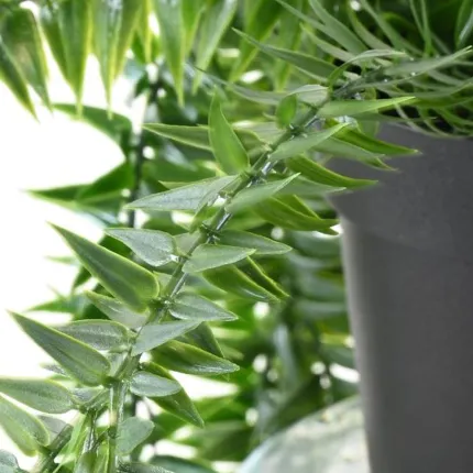 LYCOPODIUM PLAST artificiel 70 cm en pot - feuilles