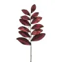 branche de SCEAU DE SALOMON artificielle 75 cm burgundy - en tige