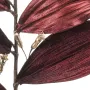 branche de SCEAU DE SALOMON artificielle 75 cm burgundy - détails