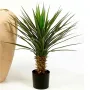 YUCCA artificiel ROSTRATA 82 cm