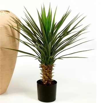 YUCCA artificiel ROSTRATA 82 cm