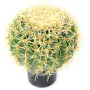 CACTUS artificiel baril d'or diam 37 cm
