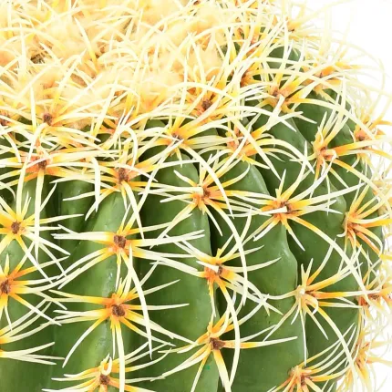 CACTUS artificiel BALL diam 30 à 48 cm ou  Golden Barrel Cactus