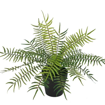FOUGERE BLECHNUM artificielle plast en pot 28 cm