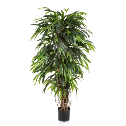 feuilles FICUS artificiel LONGIFOLIA LIANE de luxe 150 à 210 cm