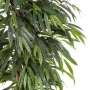feuilles FICUS artificiel LONGIFOLIA LIANE de luxe 150 à 210 cm
