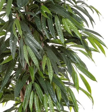 feuilles FICUS artificiel LONGIFOLIA LIANE de luxe 150 à 210 cm