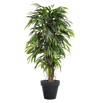 FICUS artificiel LONGIFOLIA LIANE de luxe 150 à 210 cm en pot