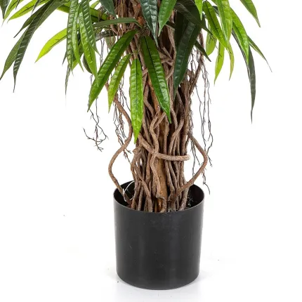 feuilles FICUS artificiel LONGIFOLIA LIANE de luxe 150 à 210 cm - pot fourni