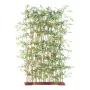 HAIE artificielle BAMBOU japenese plastique 180 cm largeur 110 cm