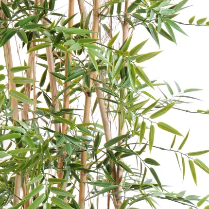 HAIE artificielle BAMBOU japenese plastique 150 et 180 cm largeur 110 cm - détails