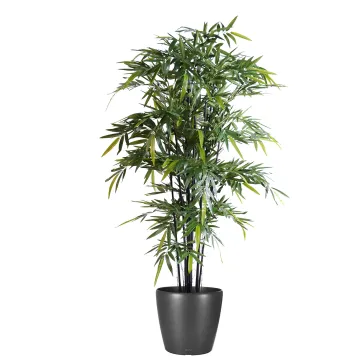 BAMBOU artificiel BLACK New 145 à 210 cm