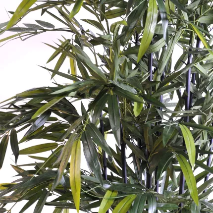 BAMBOU artificiel BLACK New 145 à 210 cm - feuille