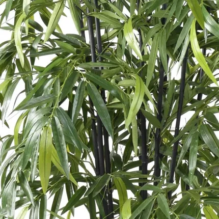 BAMBOU artificiel BLACK New 145 à 210 cm - feuillage