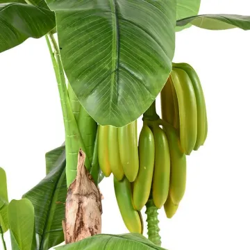 BANANIER artificiel DOUBLE AVEC REGIME 180 cm  - régime