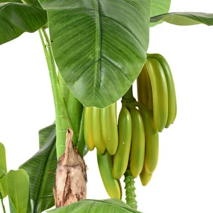 BANANIER artificiel DOUBLE AVEC REGIME 180 cm  - régime